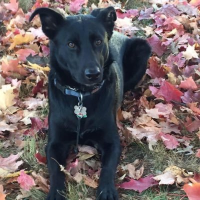 jackg61513's profile picture. 