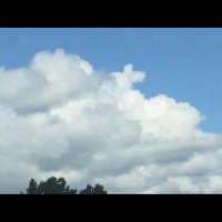 Jeffrey West (@jeffrey33996813) 's Twitter Profile