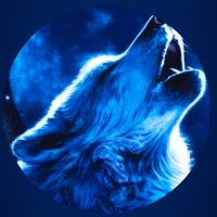 WOLF NATION (@wolfnationsps) 's Twitter Profile Photo WOLF NATION (@wolfnationsps) 's Twitter Profile Photo