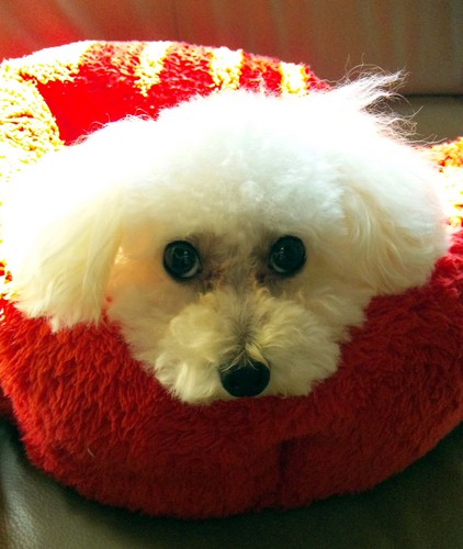 mitsuruhamanaka's profile picture. 音楽関連の書籍編集。
休日はおもに映画と展覧会めぐり。