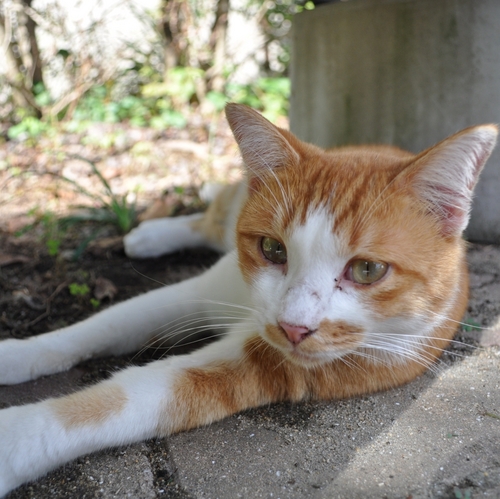 nack999's profile picture. 