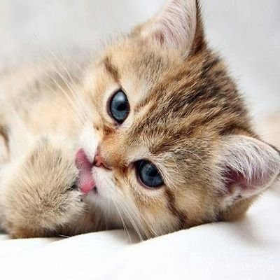 Miomio7172's profile picture. ‏‏‏‏‏‏‏‏‏‏‏‏‏‏‏‏اینورا خبری نیست جز دادن و گرفتن و شهوت، اونورا اما همه چی سانتیمانتاله، اینجا دنبال کار و کیس نیستم وجود داشتنم اذیتت میکنه بلاک کن