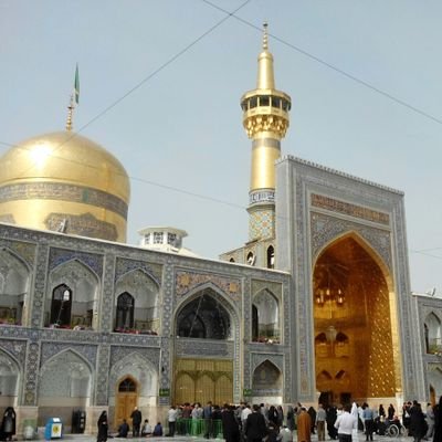 omranali1406's profile picture. 