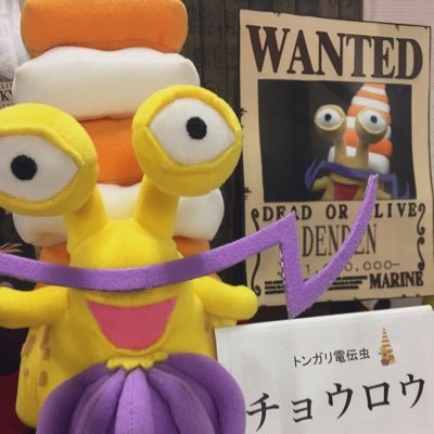 トンガリ電伝虫 Tongari Denden Twitter トンガリ電伝虫 Tongari Denden Twitter