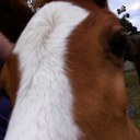 Catherine Bland - @KatyBland - Twitter