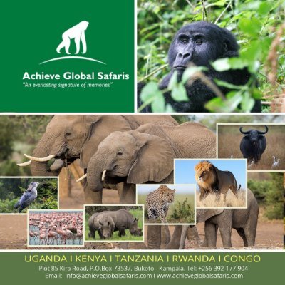 We are a diverse safari company giving you an everlasting signature of memories of the wild across Uganda•Kenya•Tanzania•Rwanda•Congo Contact us 0392-177-904