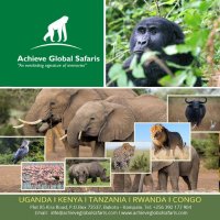 #visituganda Achieve Global Safaris(@AchieveSafaris) 's Twitter Profile Photo