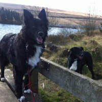 helen wilkinson (@helen_wilk1234) 's Twitter Profile Photo helen wilkinson (@helen_wilk1234) 's Twitter Profile Photo