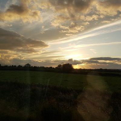 GillDoolin's profile picture. 