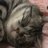 人理修復を終えた猫とSZ姉貴とJOKER姉貴が好きな人のアイコン