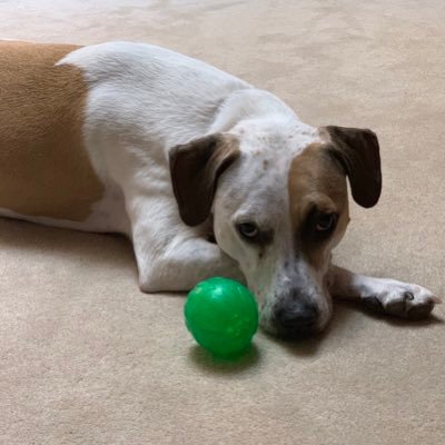 JackWynn912's profile picture. 