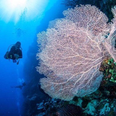 WEAguide's profile picture. Ultimate guide to conscious, sustainable and unique travel