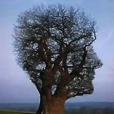 MarketingCrook's profile picture. Existentially Unreal