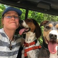 Quercus Amanda, Yankee Druid (@quercus_amanda) 's Twitter Profile Photo