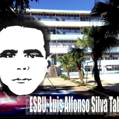 yingen64212562's profile picture. 