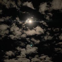 ' (@kxi_i) 's Twitter Profile