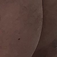 Paolo bisex (@intrigobsx64) 's Twitter Profile