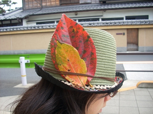 mairin318's profile picture. m_hibikiの日常　平成22年8月末　乳のがーんが発覚。10月温存手術　12月～2月　ＡＣ抗がん剤治療開始　3月～4月放射線治療、只今ホルモン療法中・・・治ると言わている「癌」治療が長いのです！しかし、ぶつぶつ言っても仕方無ーい。攻める様に進みますぜよ。別HNで、ラーメン専門blogも細々とやっています。