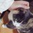 けちゃっぷさんのアイコン
