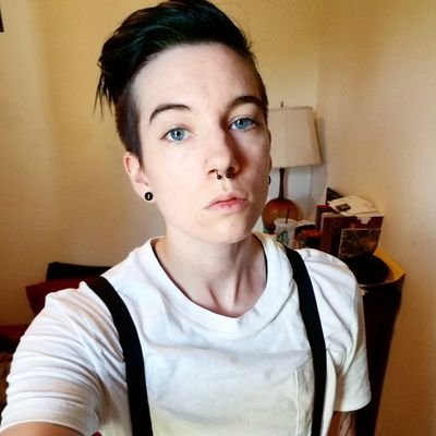 He/him, trans masculine enby. Dark fantasy writer, anti-theist, and angry punk feminist. Polyam. Current project: outlining Circus Queers