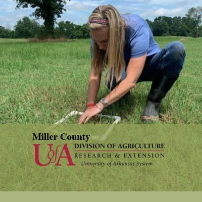 UAEX_MillerCoAg Profile Picture