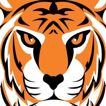 Darlington Lady Tiger Basketball News. Go Tigers!