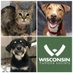 Wisconsin Humane Society Green Bay Campus (@greenbayhumane) Twitter profile photo Wisconsin Humane Society Green Bay Campus (@greenbayhumane) Twitter profile photo
