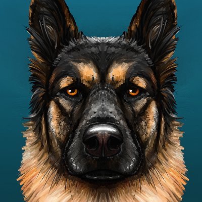 RENARD Jyruさんのプロフィール画像