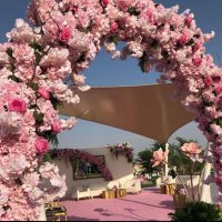 امووووولتي💜 (@amal1145) 's Twitter Profile