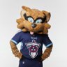 Titans_TRac's profile picture. Official Twitter of Your 12-Time Pro Bowl NFL Mascot T-Rac for Your Tennessee Titans! First Ever Cartoon Network NFL Mascot of the Year!