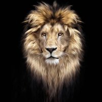 lionheartsmith (@lionheartsmith) 's Twitter Profile