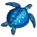 Monica Rincon (@rinconturtles) Twitter profile photo Monica Rincon (@rinconturtles) Twitter profile photo