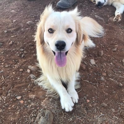 kriminalist5's profile picture. Film sever ,sporcu