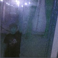 wolfbabycup (@wolfbabycup) 's Twitter Profile