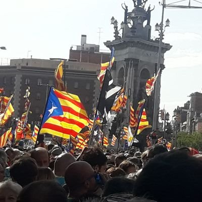 Rogerot1's profile picture. no baixarem del burro fins a la republica catalana