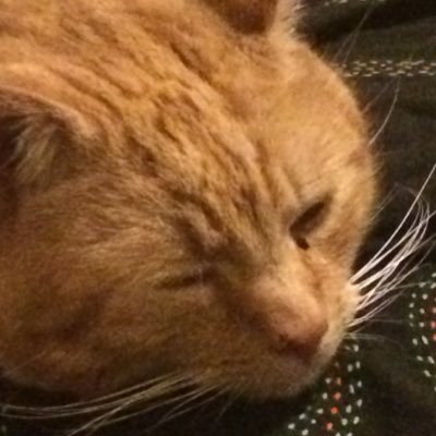 Junaid_Ahmed121's profile picture. 