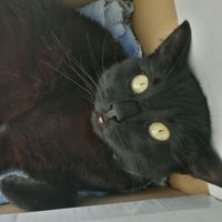 PlutonicEarth (@plutonicearth) 's Twitter Profile