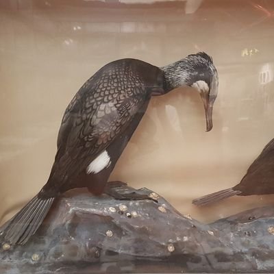 - Feature Animation Modeller -
https://t.co/ujvbVQO7l1…
https://t.co/bcN53MCaEk