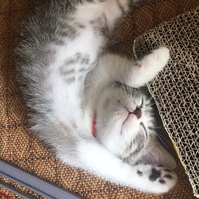 040756's profile picture. 法？