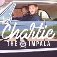 Charlie The Impala(@ImpalaCharlie) 's Twitter Profile Photo