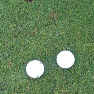 musician, scuba diver, 'birder' and poor photographer - extremely amateur golfer