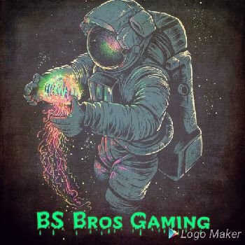 Chill vibes and out of this world content. This is no ordinary channel we not only have fun, but we create it. Join us for some BS!