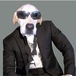 gunnerRB55's profile picture. love Horses, horseracing,Calvin Borel, all animals,& teeting with my friends,mystery books.Arsenal footy