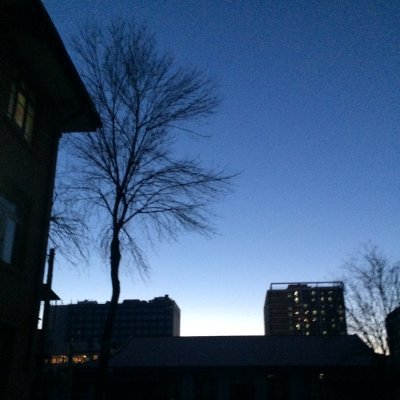 zhiheng44103744's profile picture. smile & thinking