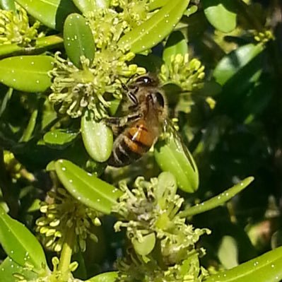 jhk5149's profile picture. 