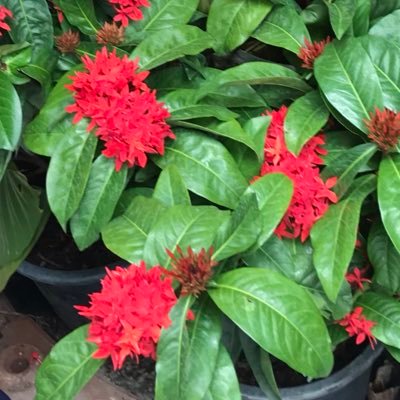 forsuccess4's profile picture. อ่านหนังสือ