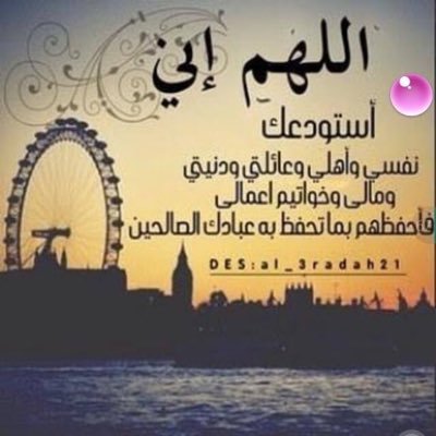 T29uTu's profile picture. الاسلوب يعكس تربيتك فقل خيراً او لتصمت..🕊
