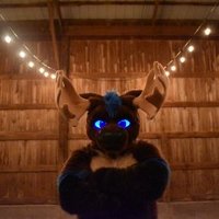 TraxxMoose (@traxxmoose1) 's Twitter Profile