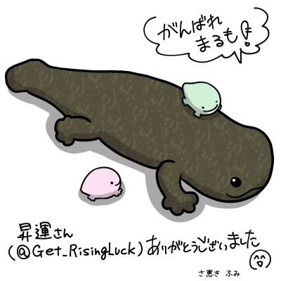オオサンショウウオ【超特大】 かん オオサンショウウオ【超特大】 かん