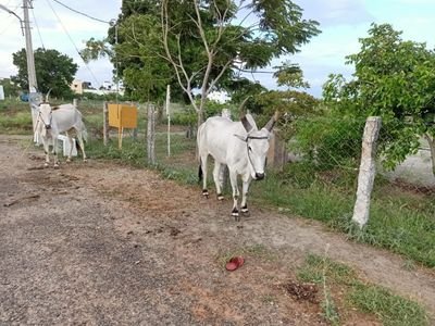 jawahar83221916's profile picture. 